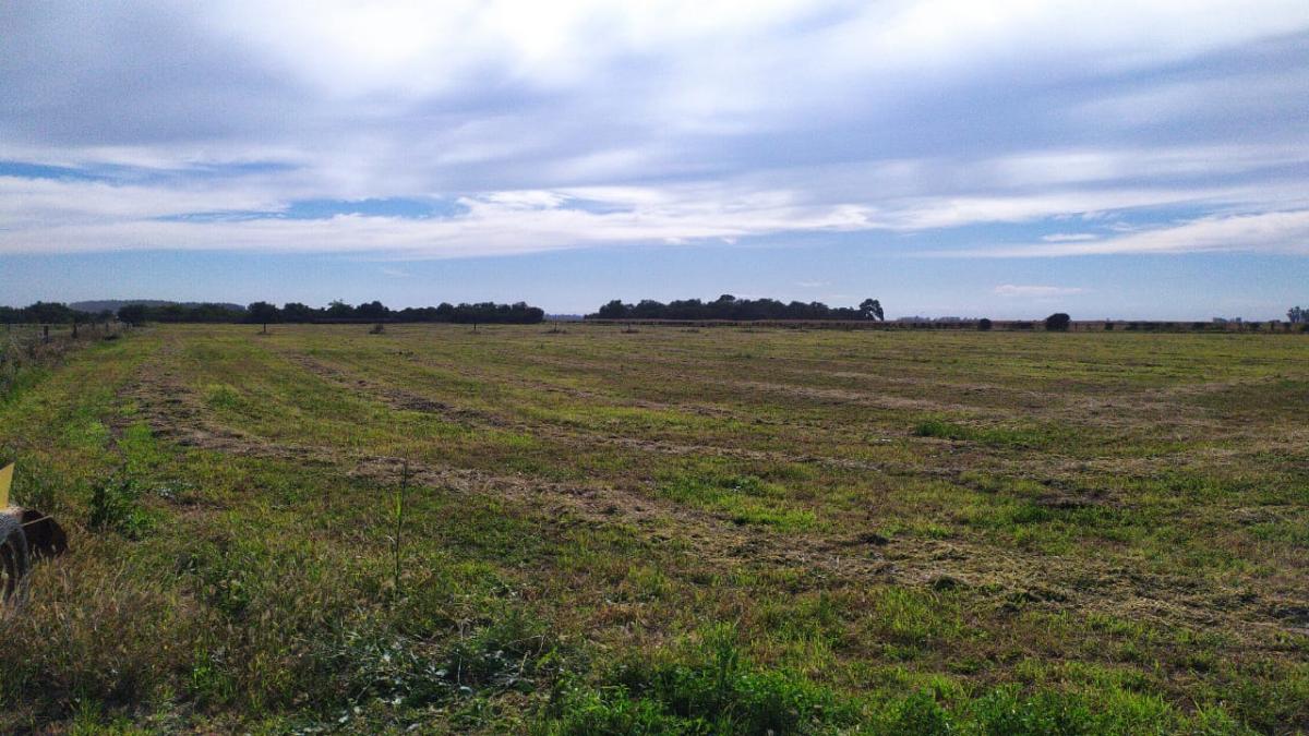 SE VENDEN TERRENOS EN EL FUERTE APTOS GALPONES O DEPOSITOS