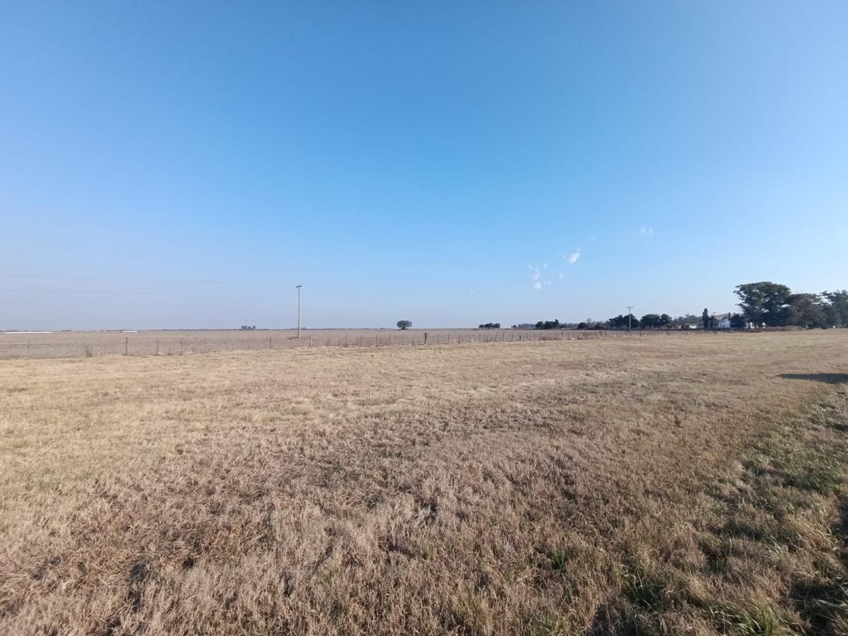 TERRENOS INDUSTRIALES FRENTE RUTA 19 - INGRESO DE ARROYITO