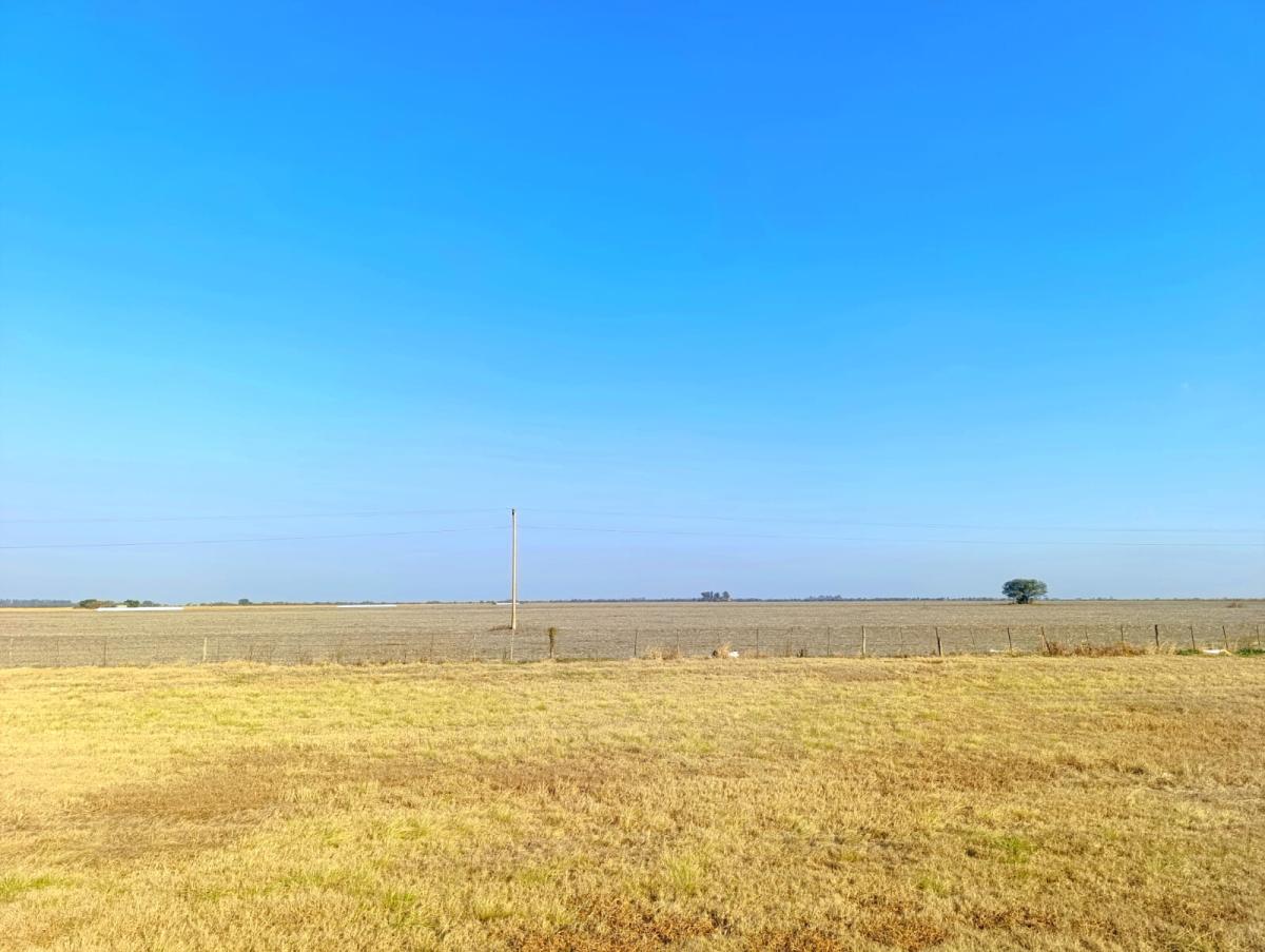TERRENOS INDUSTRIALES FRENTE RUTA 19 - INGRESO DE ARROYITO