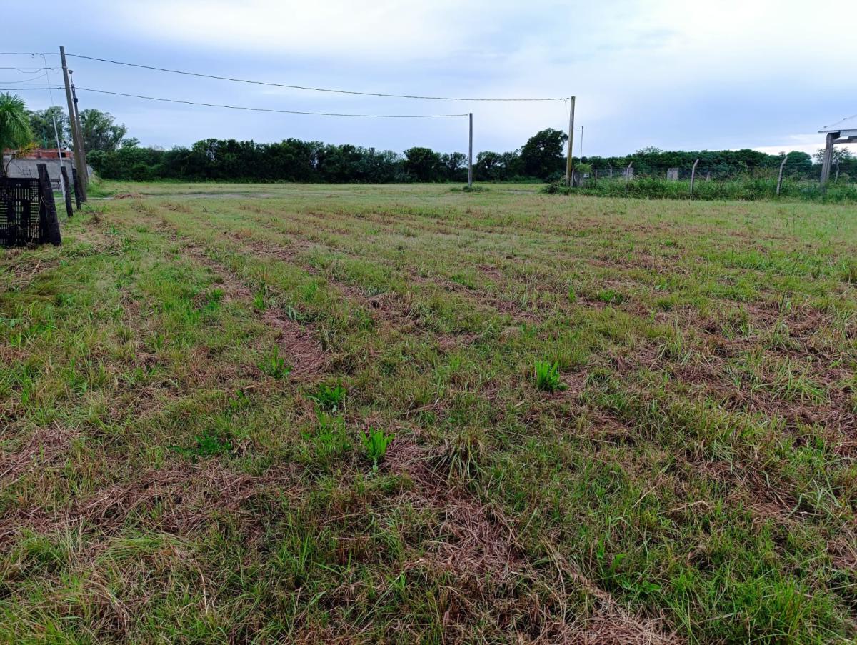TERRENO EN VENTA - LA CURVA