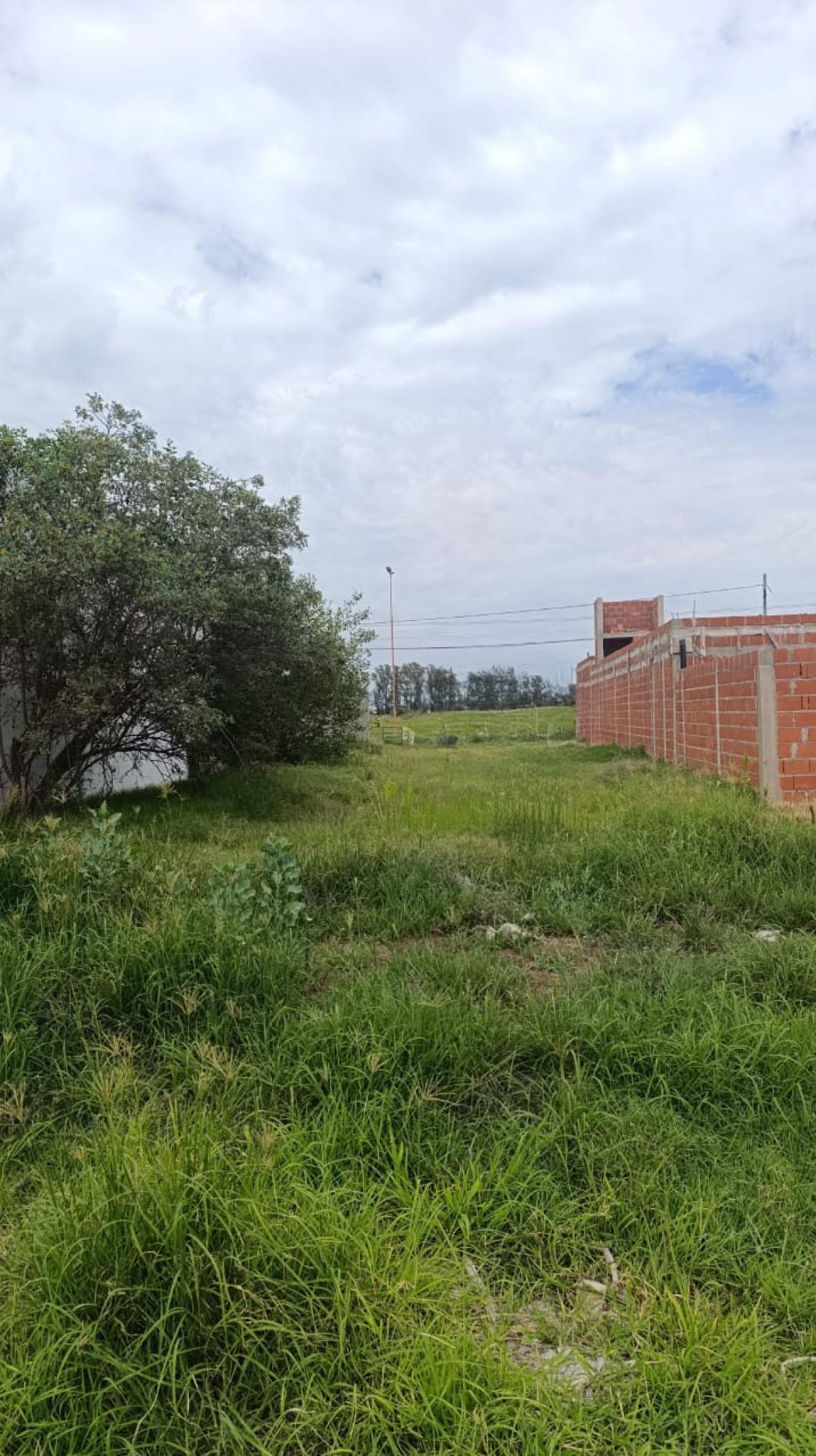 TERRENO EN VENTA - ARROYITO